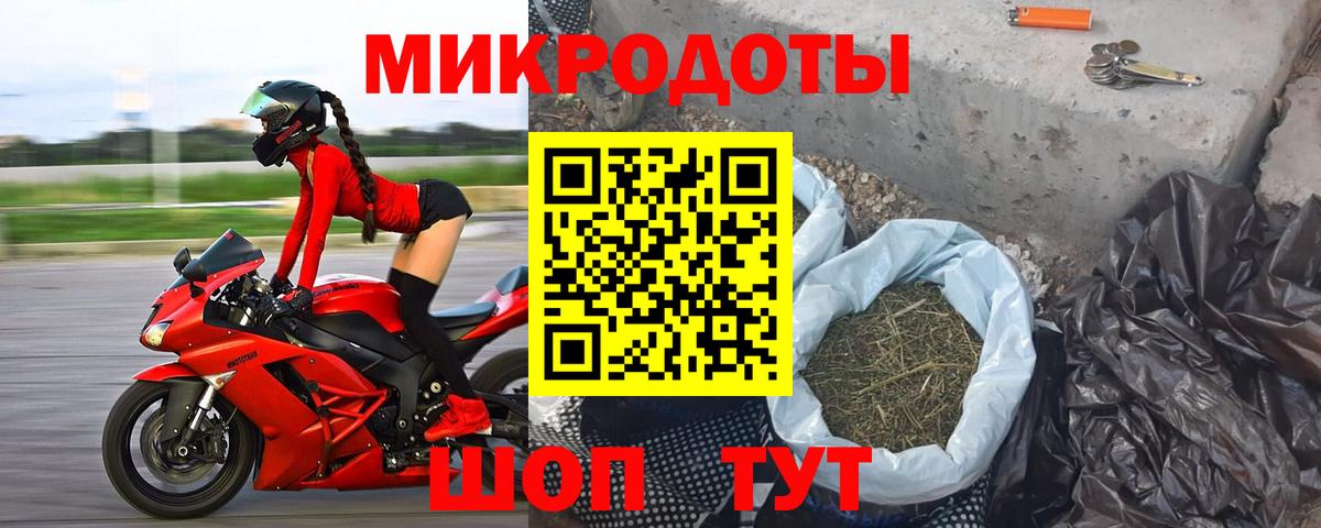 Галлюциногенные грибы Psilocybine cubensis  Вход с VPN  Псилоцибиновые грибы прущие грибы  Таганрог 